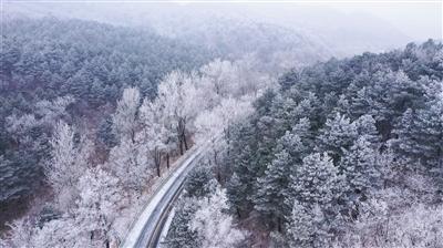 沪江开心词场