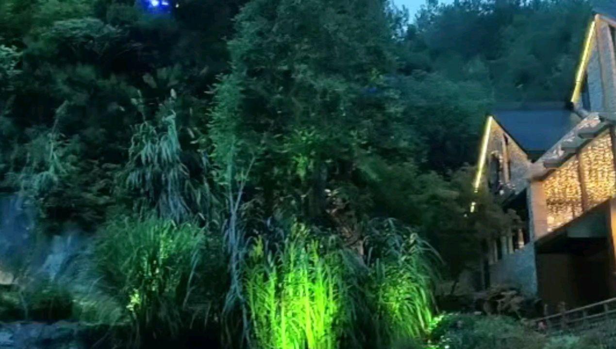 月光影视